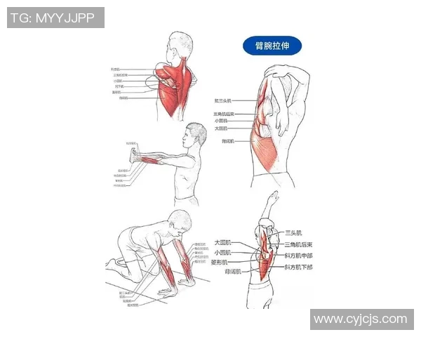姚明拉伸法揭秘运动员身体素质提升的秘密与科学原理分析