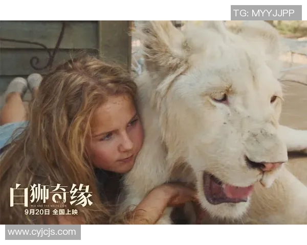 灵性与技艺交融的足球明星们探索他们的心灵与球场的奇妙旅程