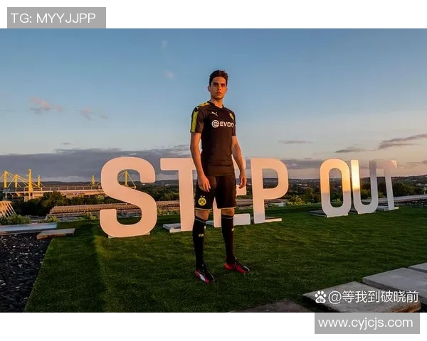 曾经辉煌如今陨落的足球明星们的悲惨故事与教训